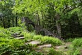 Ruins in the Madame Sherri Forest Royalty Free Stock Photo