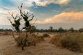 Ruins of the Manzanar National Historic Site Monument in Inyo Co