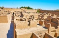 The medieval adobe town of Rayen, Iran Royalty Free Stock Photo