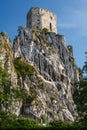 Ruins of the medieval Beckov castle Royalty Free Stock Photo