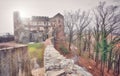 Ruins of the Bolkow Castle