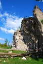 Ruins of Medieval Castle