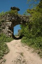 Ruins of medieval castle