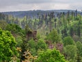 Ruins of the medieval castle of Nidek in the Vosges mountains, Alsace