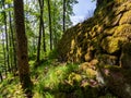 Ruins of the medieval castle of Nidek in the Vosges mountains, Alsace