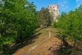 Ruins of medieval castle Uhrovec Royalty Free Stock Photo