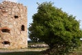 Ruins of the middel age castle Hammershus on island Bornholm in Denmark