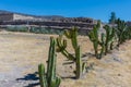 Ruins in Mitla near Oaxaca city. Mexico Royalty Free Stock Photo