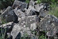 Ruins of Monfort castle, Israel. Montfort Castle