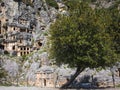 Ruins of Myra Ancient City and big fruit tree in Demre, Turkey. Ancient rock tombs in Lycia region