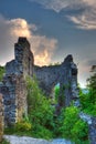 Ruins of Nevitskiy castle