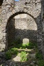 Ruins of the Nevitsky castl.