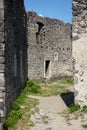 Ruins of the Nevitsky castl. Royalty Free Stock Photo