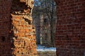 Ruins of the noble estate Petrovskoe-Knyazhishchevo. Royalty Free Stock Photo