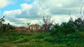 Ruins of an old abandoned house in the summer landscape, color p Royalty Free Stock Photo