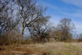 The ruins of an old abandoned village house among the trees. Landscape. An old abandoned house in the thicket Royalty Free Stock Photo