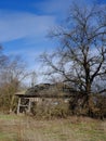 The ruins of an old abandoned village house among the trees. Landscape. An old abandoned house in the thicket Royalty Free Stock Photo