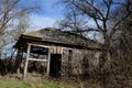 The ruins of an old abandoned village house among the trees. Landscape. An old abandoned house in the thicket Royalty Free Stock Photo