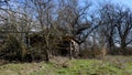 The ruins of an old abandoned village house among the trees. Landscape. An old abandoned house in the thicket Royalty Free Stock Photo