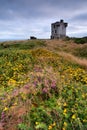 Ruins of Old Castle in Crookhaven Royalty Free Stock Photo