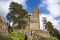 The ruins of the old castle Helfenburk Royalty Free Stock Photo