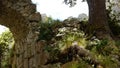 Ruins of an old Cathars fortress