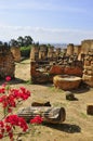 Ruins of the old city of Carthage, Tunisia