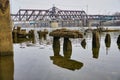 Ruins of an old dock on the shore of the Sacramento river