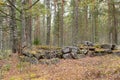 Ruins of an old Finnish stone foundation in a forest in Karelia