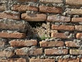 Ruins of an old fortress, a hole in the stone. Hole in the ancient fortress wall. Brick structure with a through hole Royalty Free Stock Photo