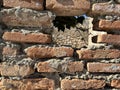 Ruins of an old fortress, a hole in the stone. Hole in the ancient fortress wall. Brick structure with a through hole Royalty Free Stock Photo