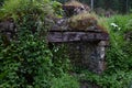 Ruins of an old house in a forest, overgrown with grass, empty fireplace, power of nature Royalty Free Stock Photo