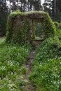 Ruins of an old house in a forest, overgrown with grass, empty window, power of nature Royalty Free Stock Photo