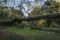 Ruins of an old house at Salto Ventoso Park - Farroupilha, Rio Grande do Sul, Brazil Royalty Free Stock Photo