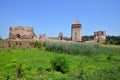 Ruins of old medieval fortress Bac, Serbia