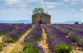 Ruins of an old rustic stone house on a lavender field against the backdrop of mountains and a beautiful sky with clouds.