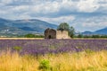 Ruins of an old rustic stone house on a lavender field against the backdrop of mountains and a beautiful sky with clouds.