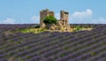 Ruins of an old rustic stone house on a lavender field.
