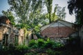 Ruins of the old summer cinema. Its former splendor