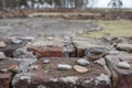 Ruins of one of the crematoria at Auschwitz Birkenau Nazi concentration camp. This crematorium was destroyed by Jewish prisoners Royalty Free Stock Photo