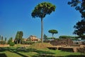 Ruins at the Palatine Hill in Rome, Italy