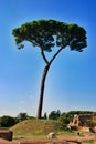 Ruins at the Palatine Hill in Rome, Italy