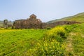 Ruins of Panagia tou Sinti ortodox Monastery with temple in the center and yellow flowers in the foreground, Cyprus