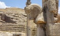 The ruins of Persepolis in Iran