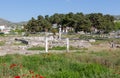 Ruins of Phthiotic Thebes in Nea Anchialos, Thessaly, Greece