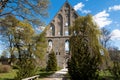 ruins of Pirita Convent. Tallin. Estonia. Royalty Free Stock Photo
