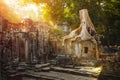 On the ruins of Preah Khan temple complex in Cambodia.