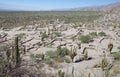 Ruins of Quilmes in the Calchaqui Valleys, Tucuman Province, Argentina Royalty Free Stock Photo