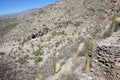 Ruins of Quilmes in the Calchaqui Valleys, Tucuman Province, Argentina Royalty Free Stock Photo