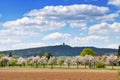 Ruins of Radyne castle near Pilsen in the spring landscape, Czech republic